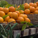malta