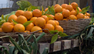 malta