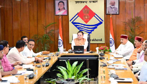 dhami cabinet