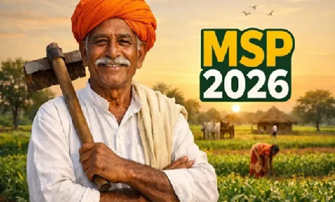 msp 2026