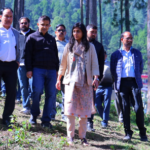 pauri